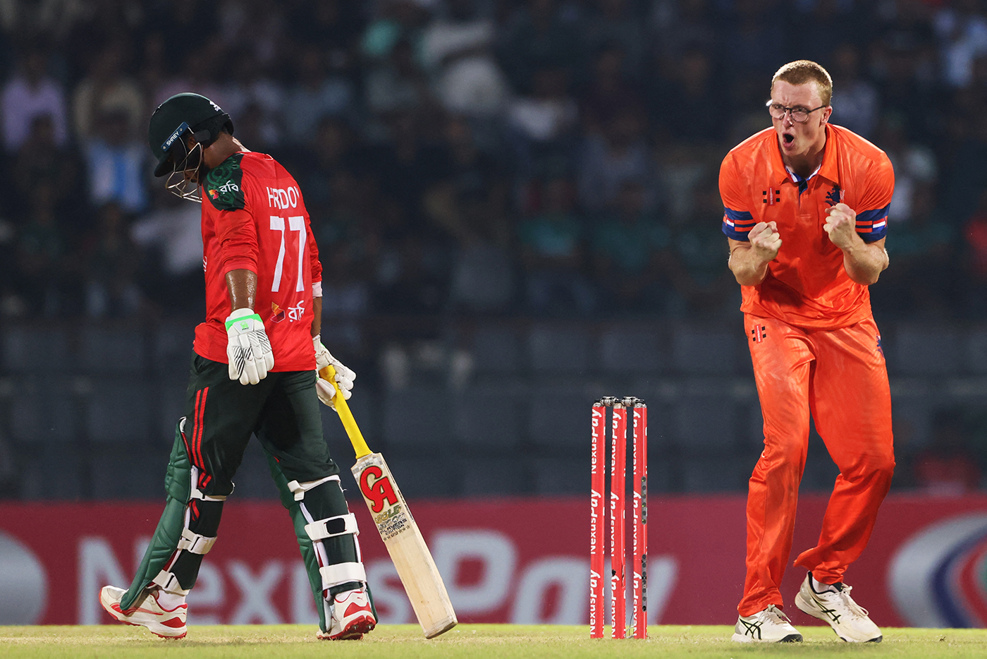 Tim Pringle celebrates Towhid Hridoy's dismissal