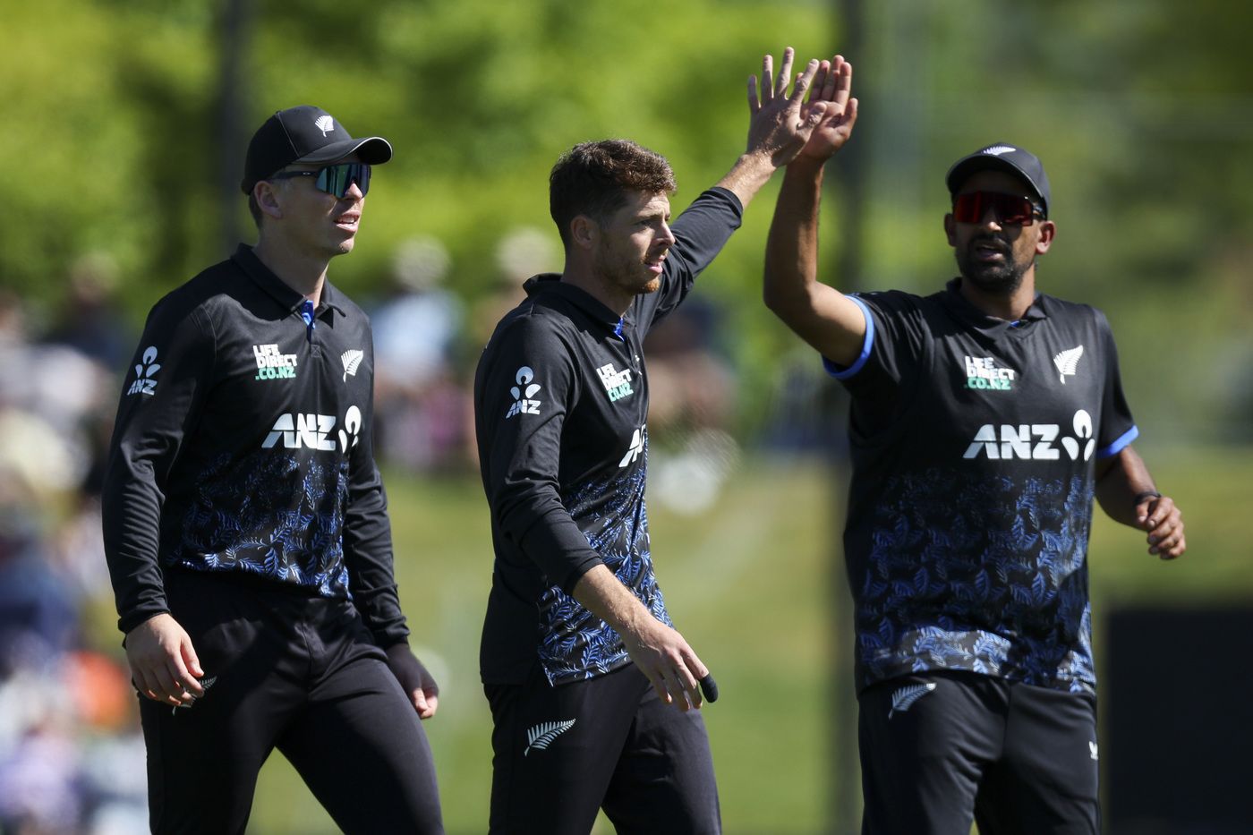 Mitchell Santner, Michael Bracewell and Ish Sodhi celebrate