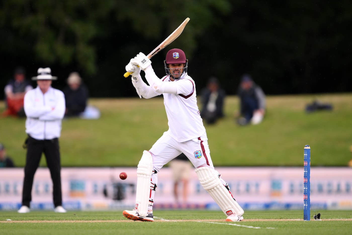 Tagenarine Chanderpaul scored a half-century