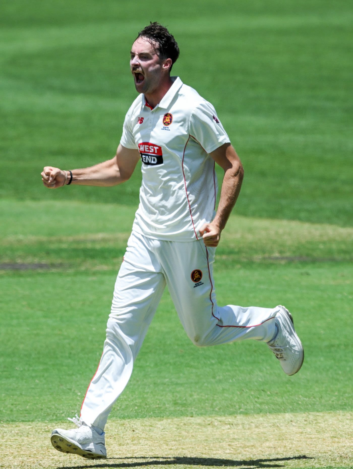 Jordan Buckingham claimed four wickets
