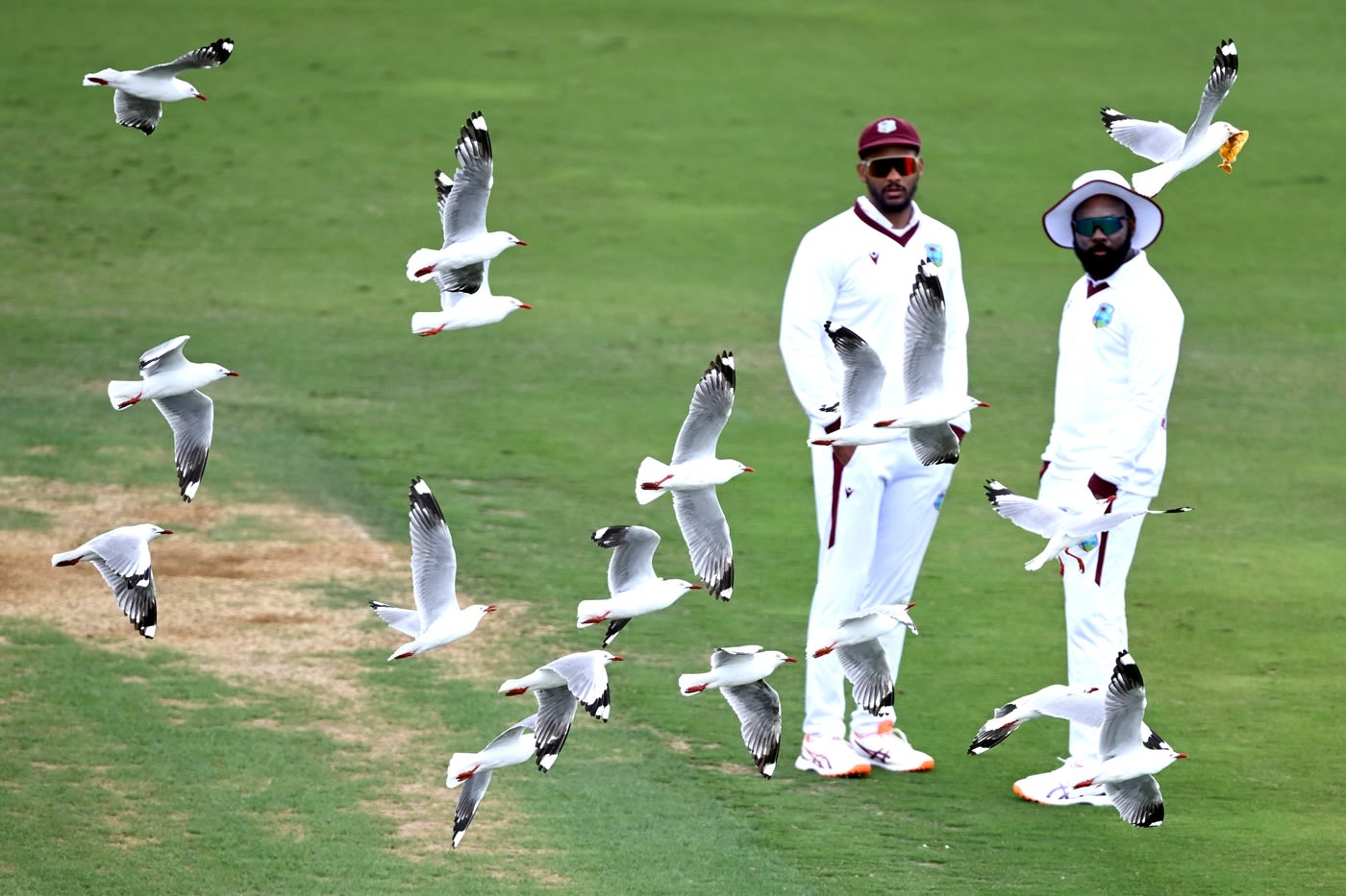 Brandon King and Jomel Warrican amid the sea gulls
