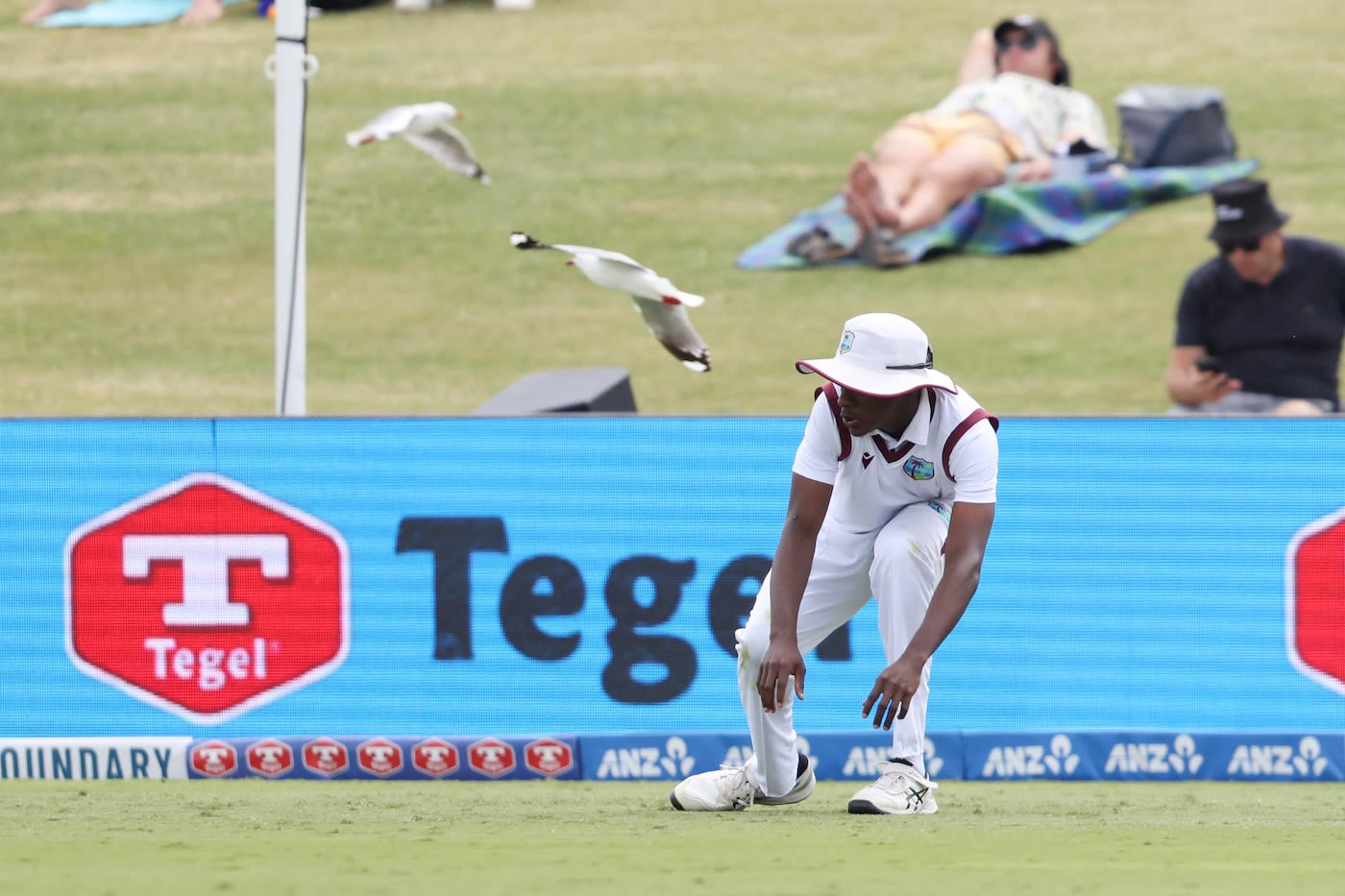 Johann Layne takes cover as a flock of seagulls fly past