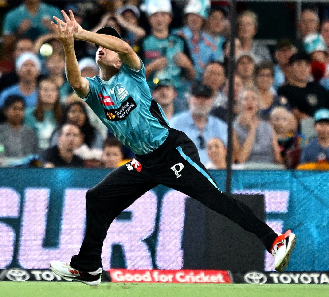 Oliver Patterson drops a catch