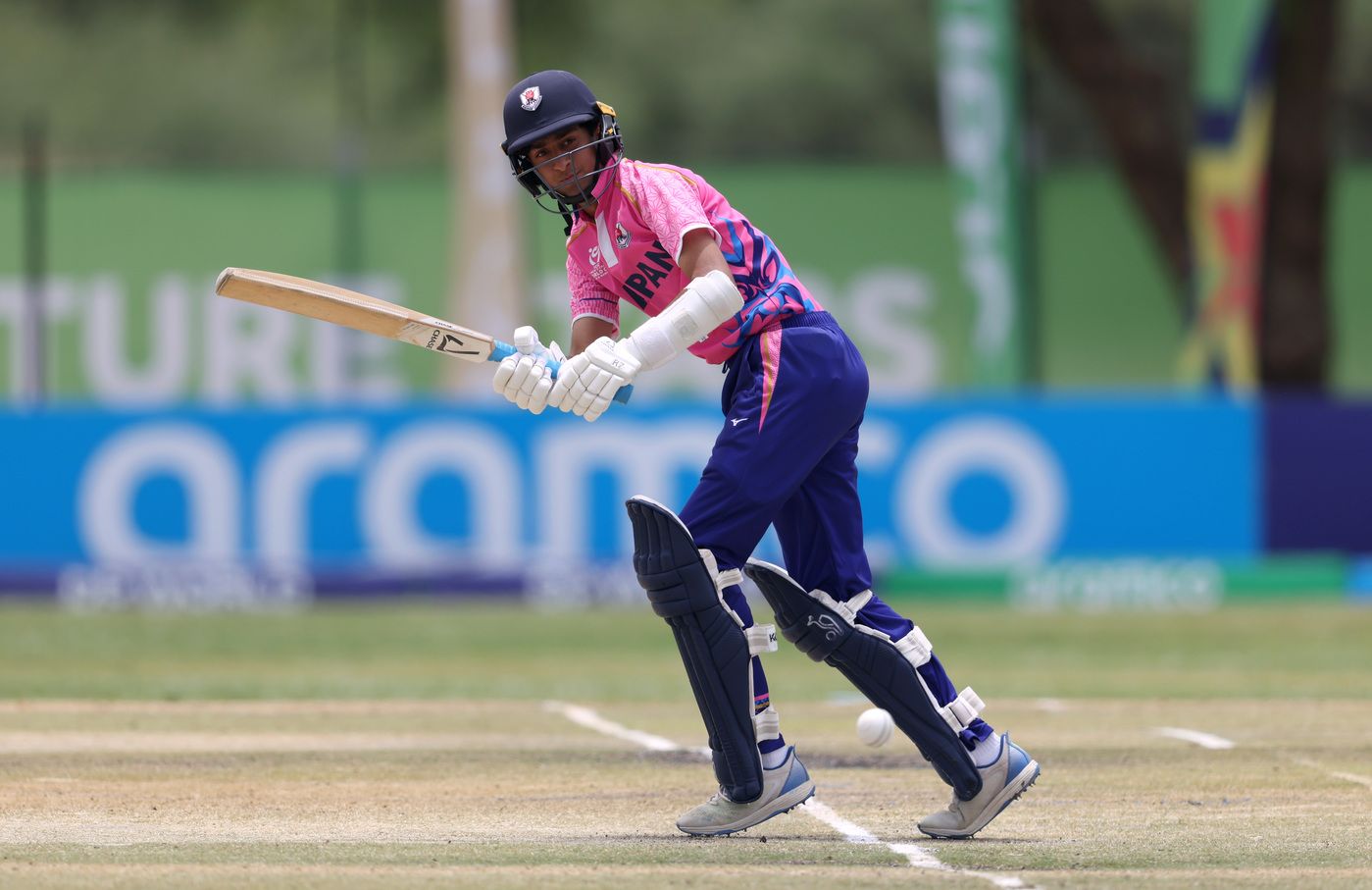 Nihar Parmar hit an unbeaten fifty in Japan's chase