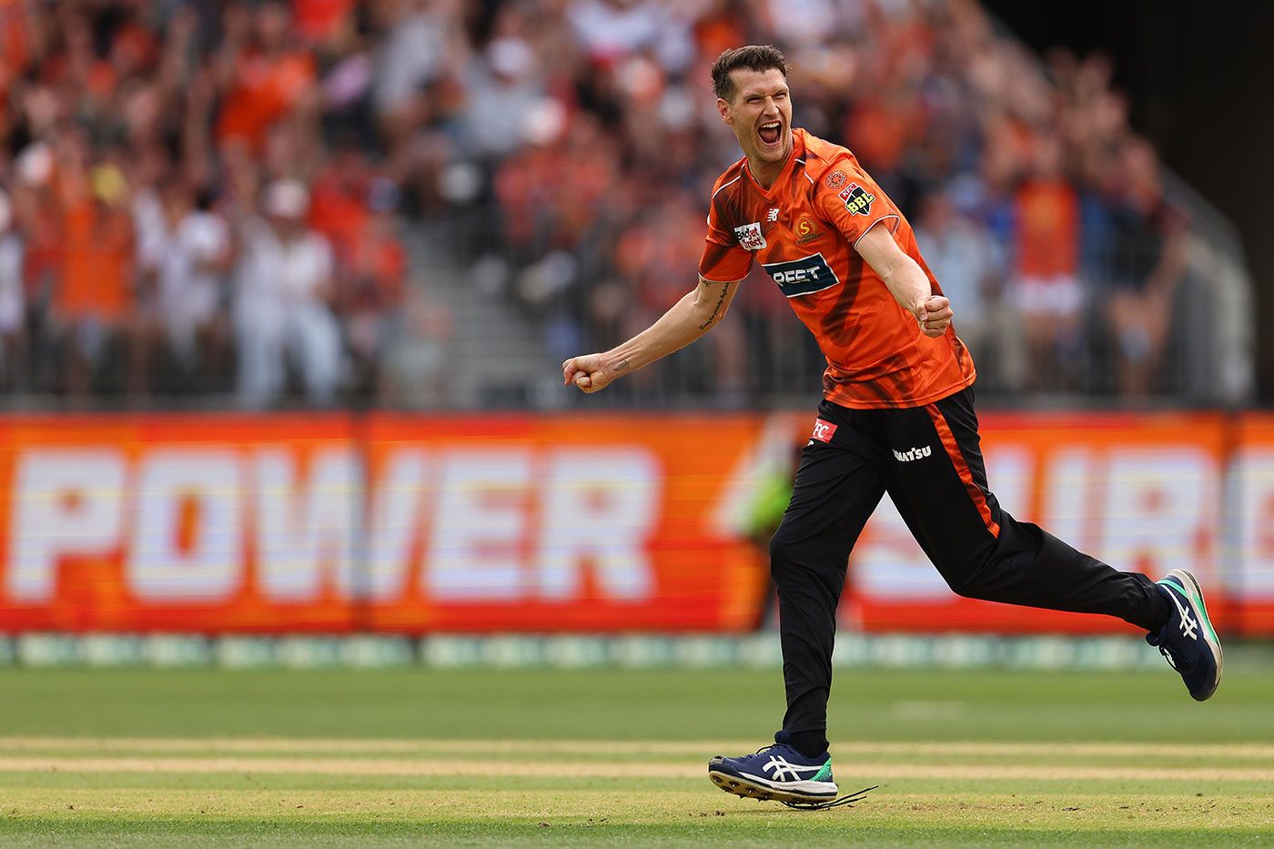 David Payne took two wickets in first power surge over