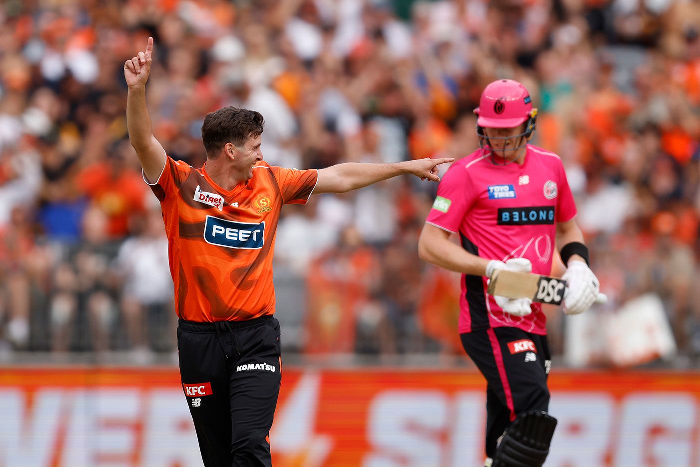 Jhye Richardson celebrates the wicket of Jack Edwards
