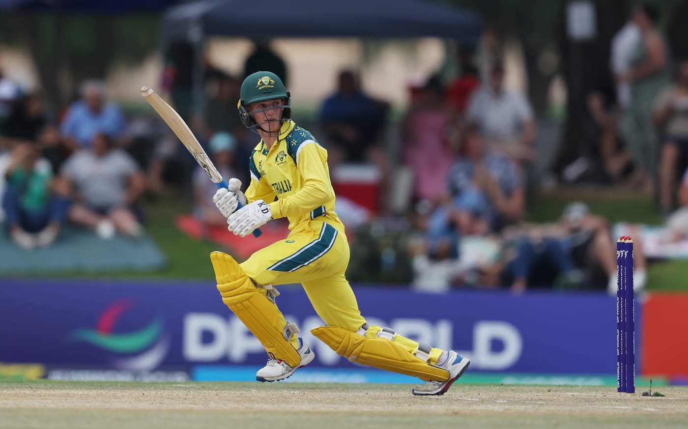 Steven Hogan took Australia closer to a win