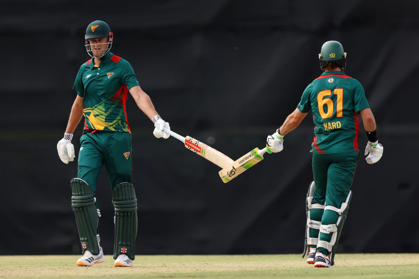 Beau Webster and Tim Ward made twin centuries