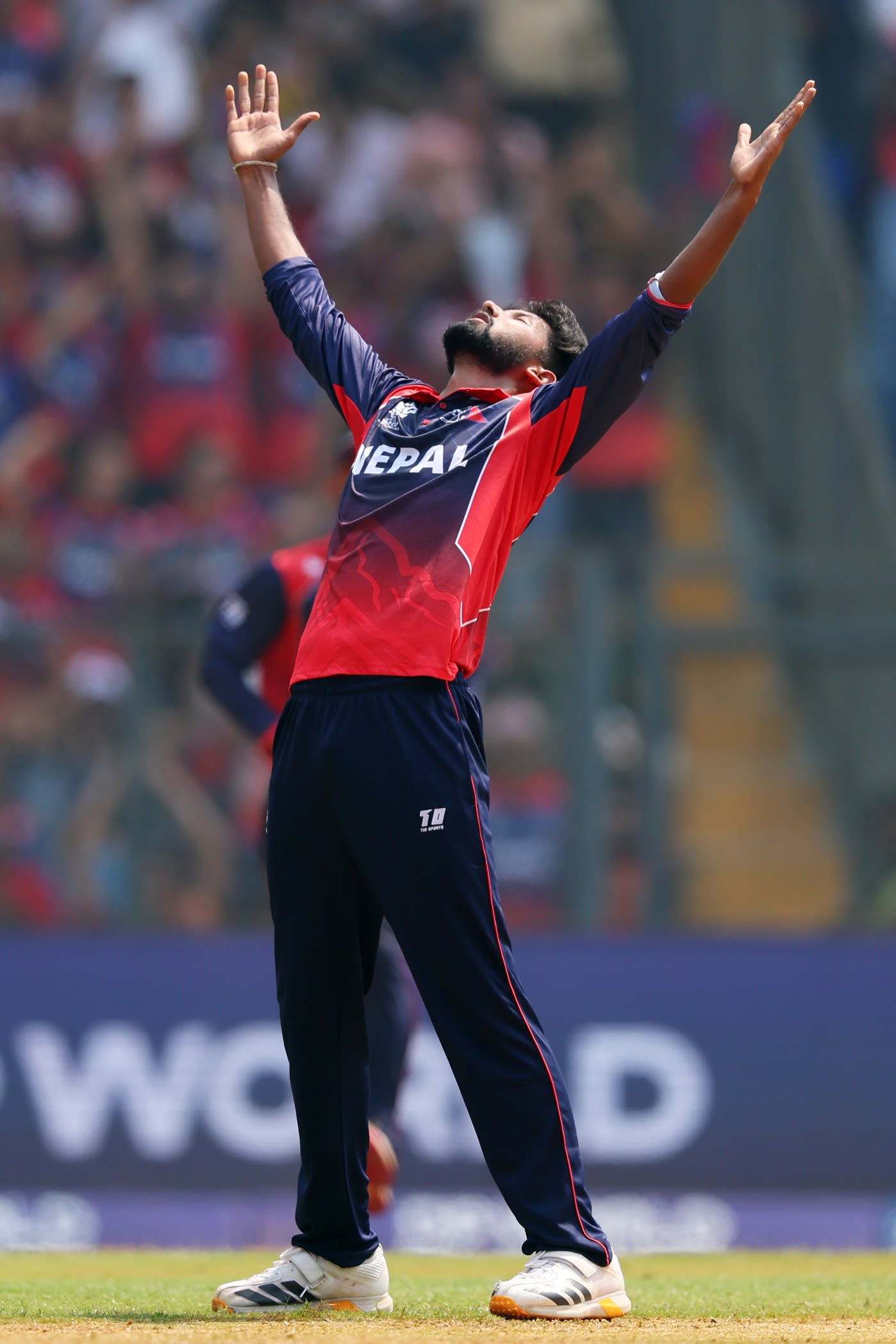 Nandan Yadav celebrates Brandon King's wicket