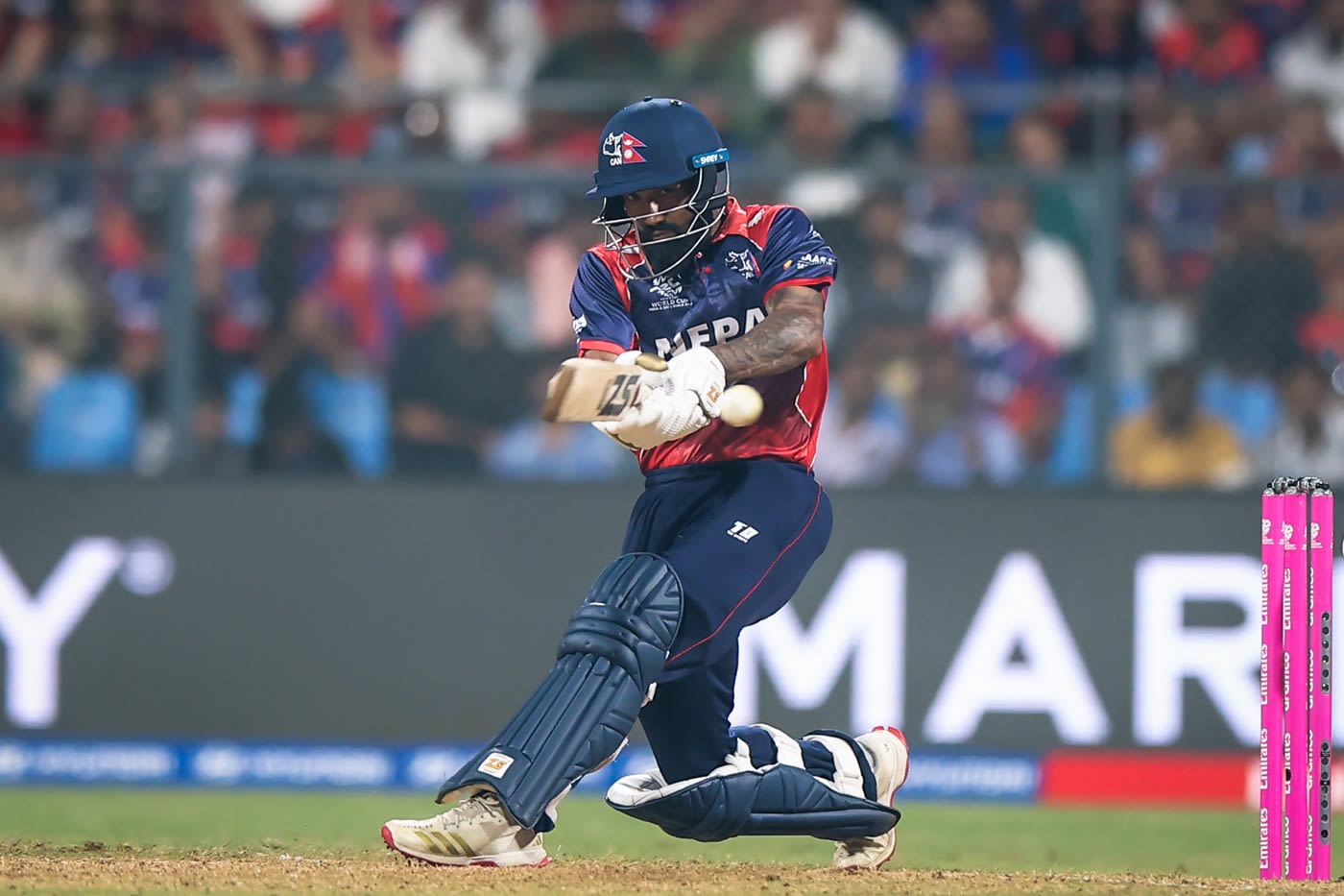 Dipendra Singh Airee's 50* sealed the win for Nepal