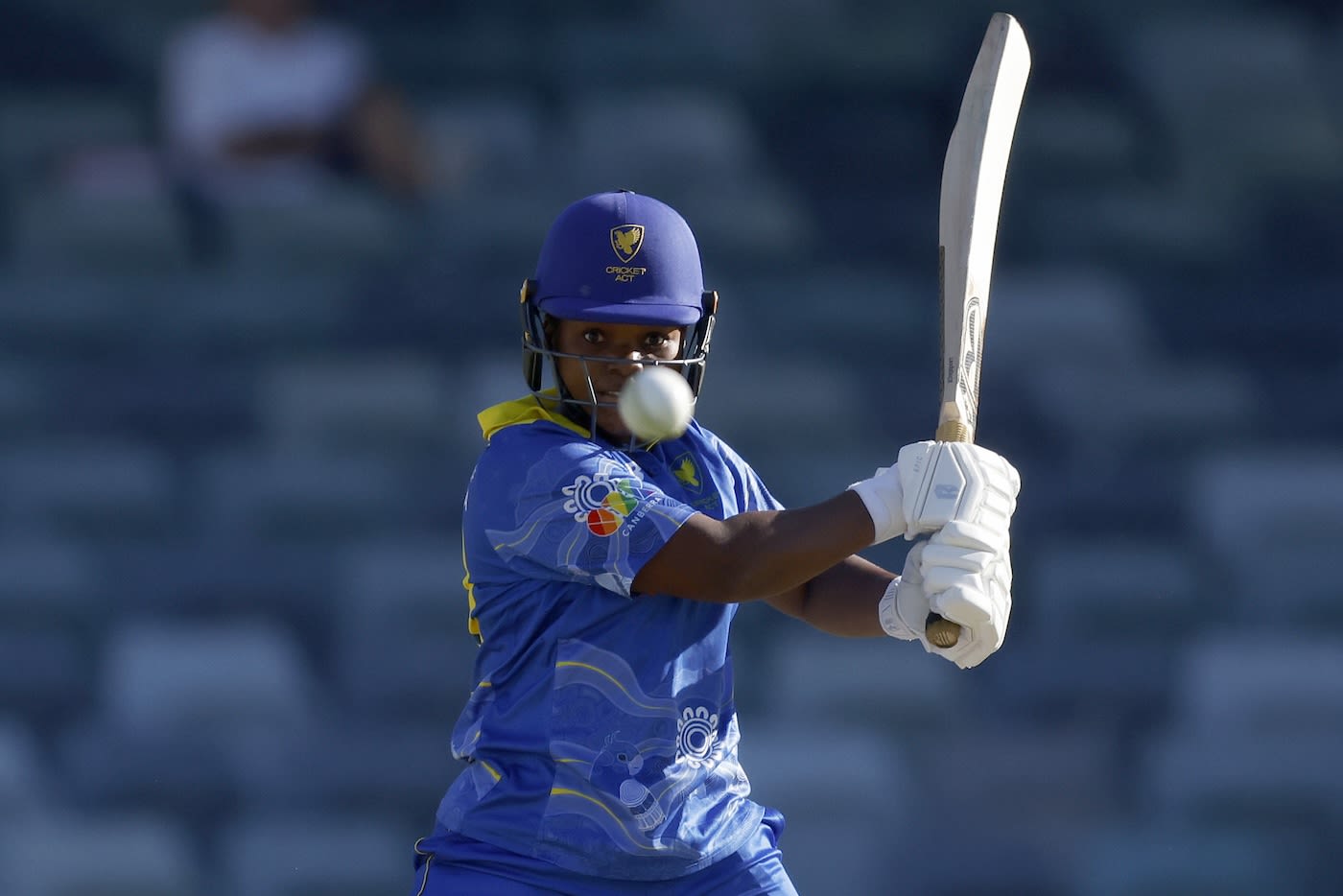 Anesu Mushangwe chipped in with 10 runs at No. 10