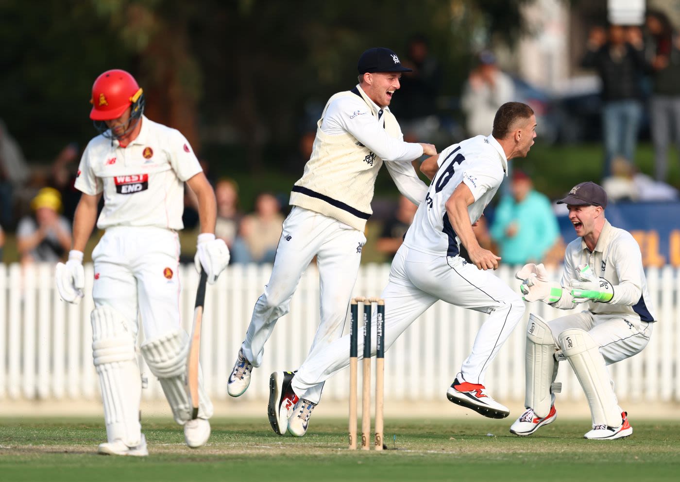 Mitchell Perry celebrates the wicket of Nathan McSweeney