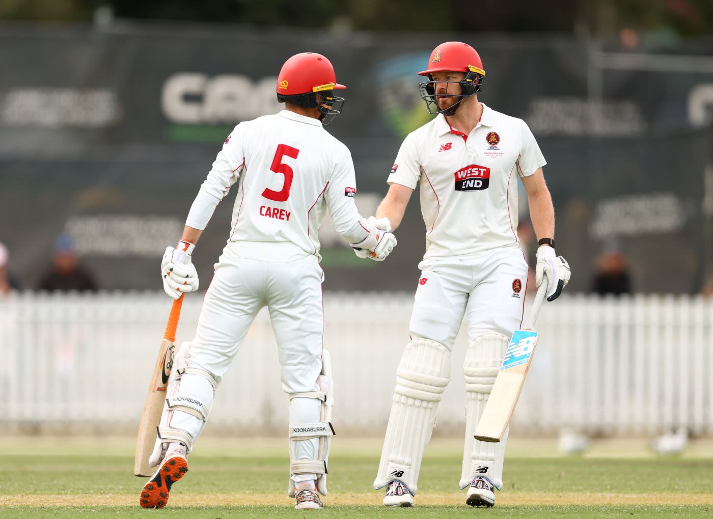 Alex Carey and Nathan McAndrew shared a vital stand