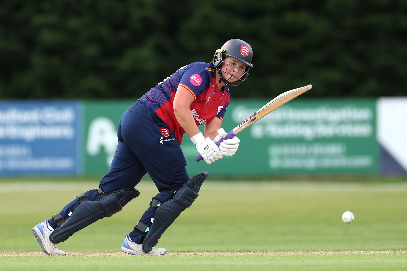 Grace Scrivens was Essex's leading run-scorer in the inaugural season in the Women's Tier 1