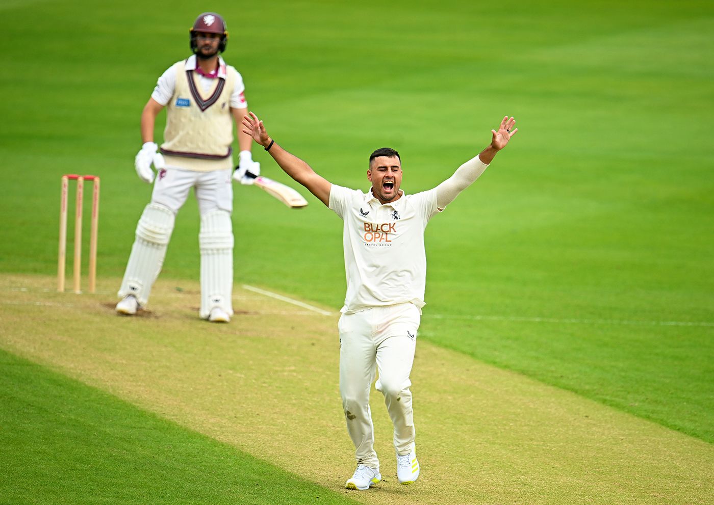Beyers Swanepoel appeals for lbw