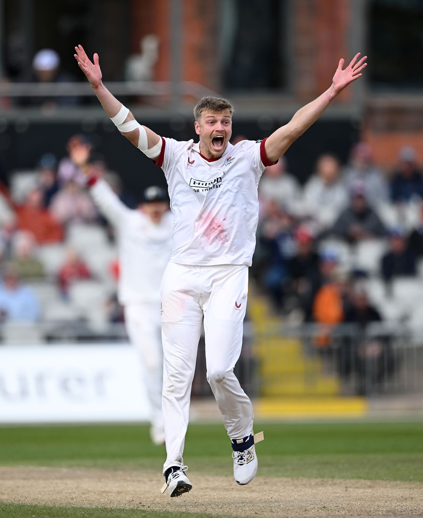 MItchell Stanley appeals for a wicket