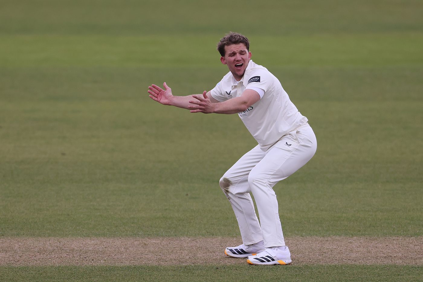 Matt Milnes appeals for a wicket