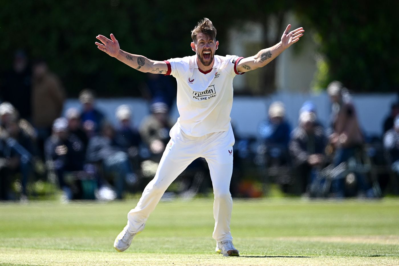 Tom Bailey appeals for a wicket