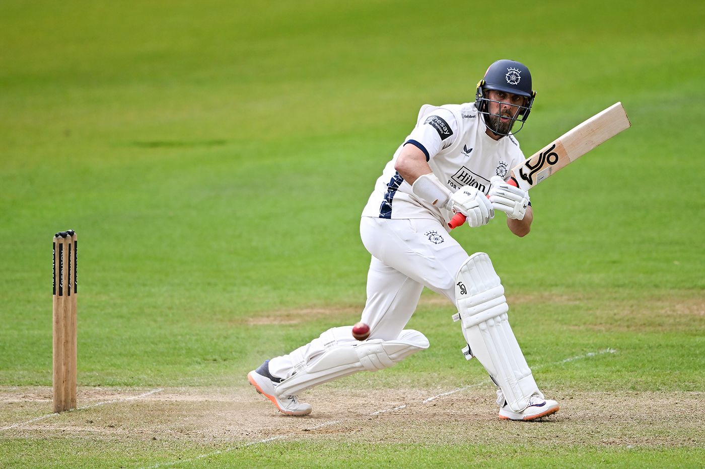 Jake Lehmann on the way to his hundred