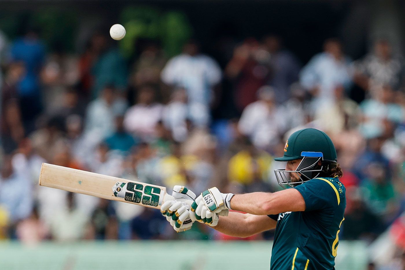 Tim David peppered the boundary