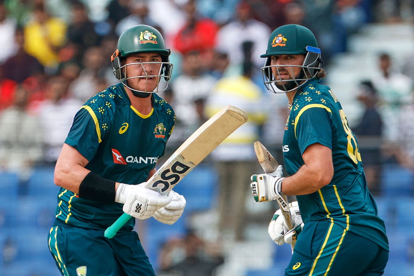 Matt Renshaw and Tim David added 97 off 50 balls
