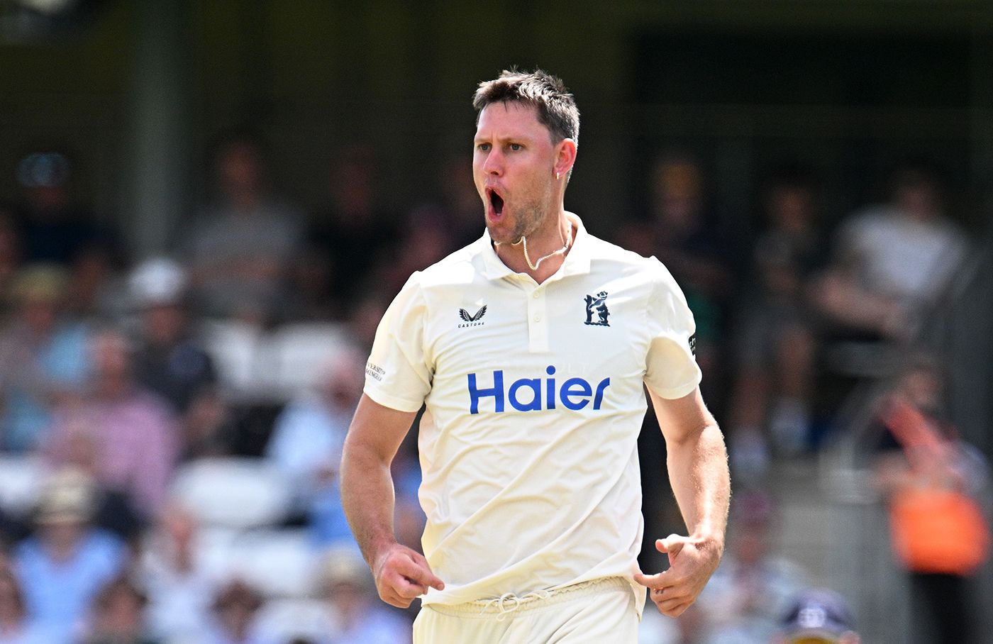 Beau Webster tore through the Somerset middle order