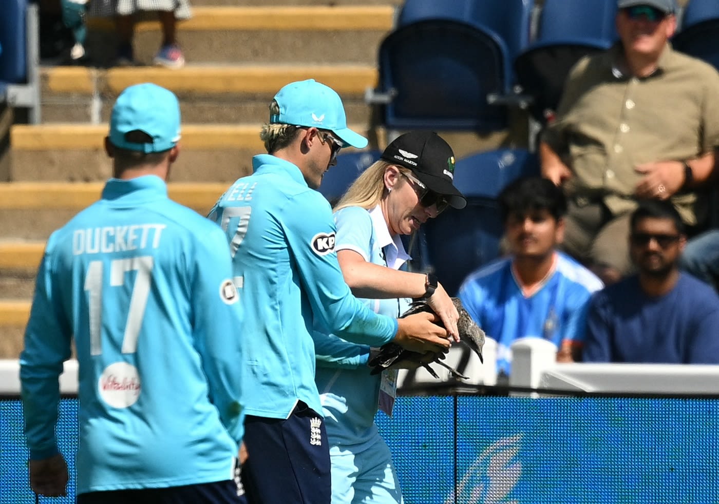 Jacob Bethell hands over a seagull that was hit by the ball to the groundstaff