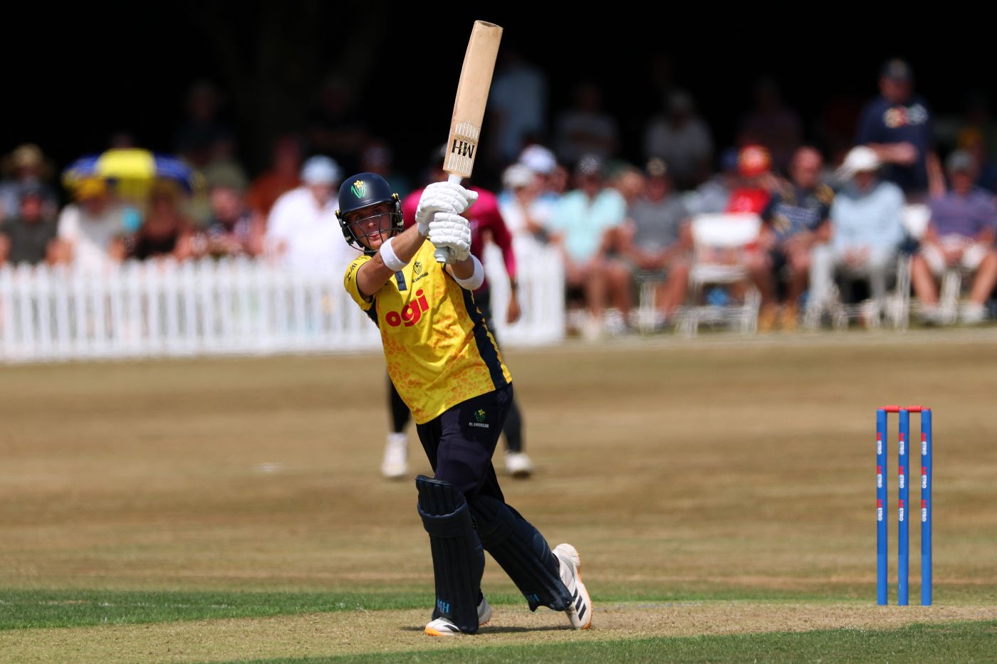 Alex Horton pulls through midwicket