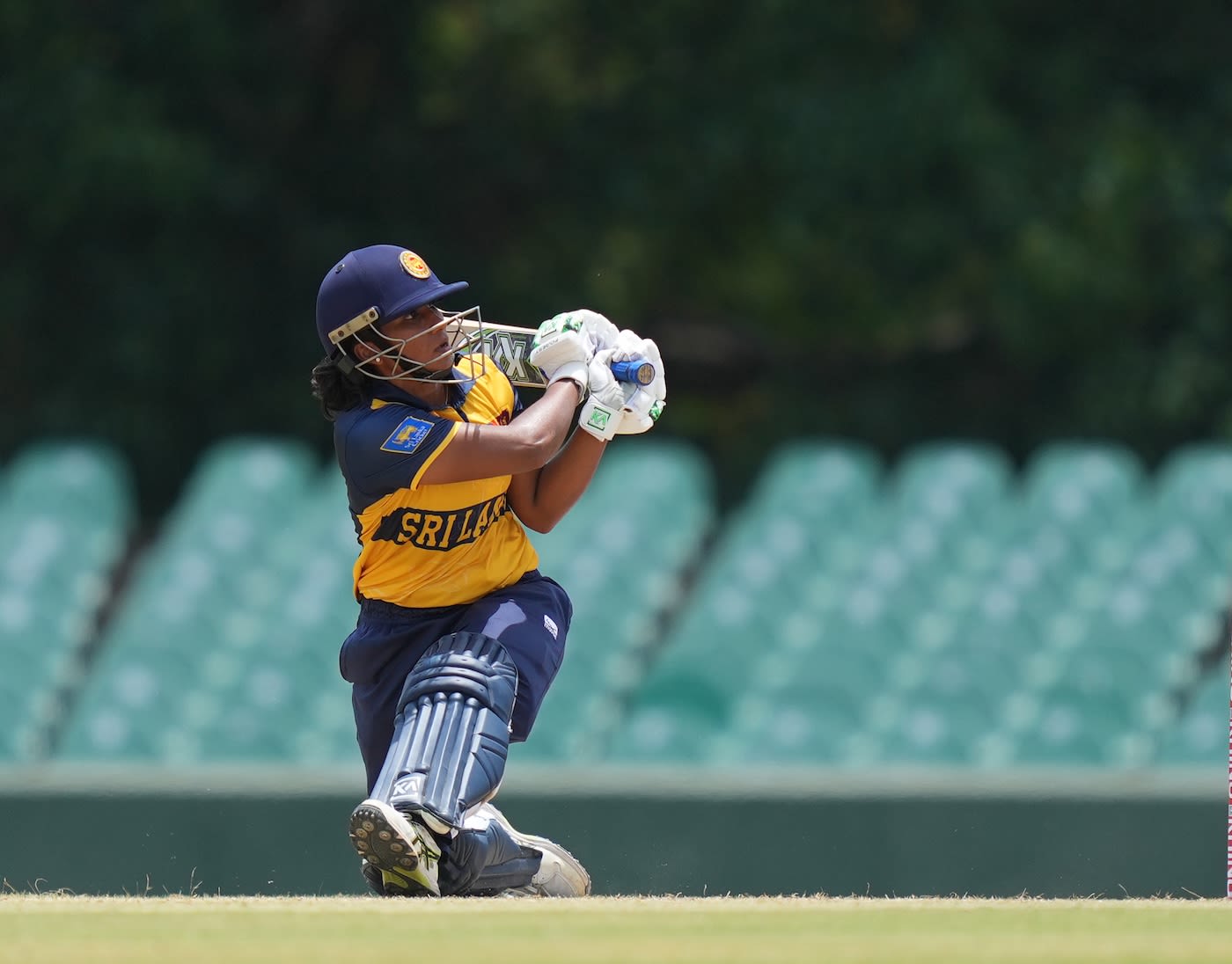 Imesha Dulani led Sri Lanka's charge with a half-century