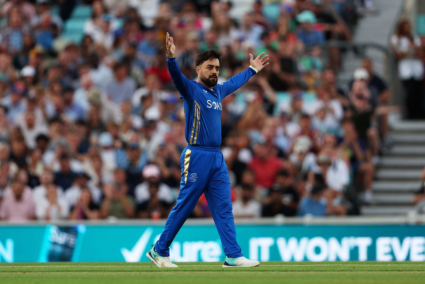 Rashid Khan celebrates