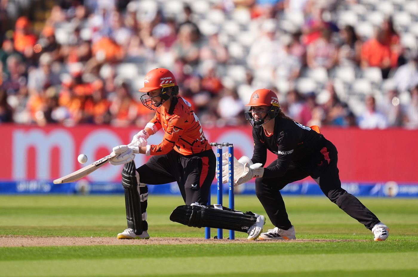 Phoebe Litchfield hared to a 20-ball fifty