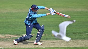 Sam Whiteman 94 puts Yorkshire on cusp of knockouts
