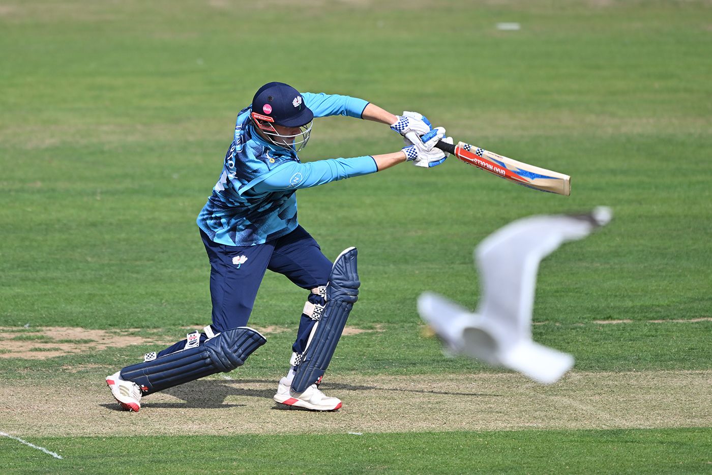 James Wharton bats for Yorkshire as a seagull tries to get a good look at the action