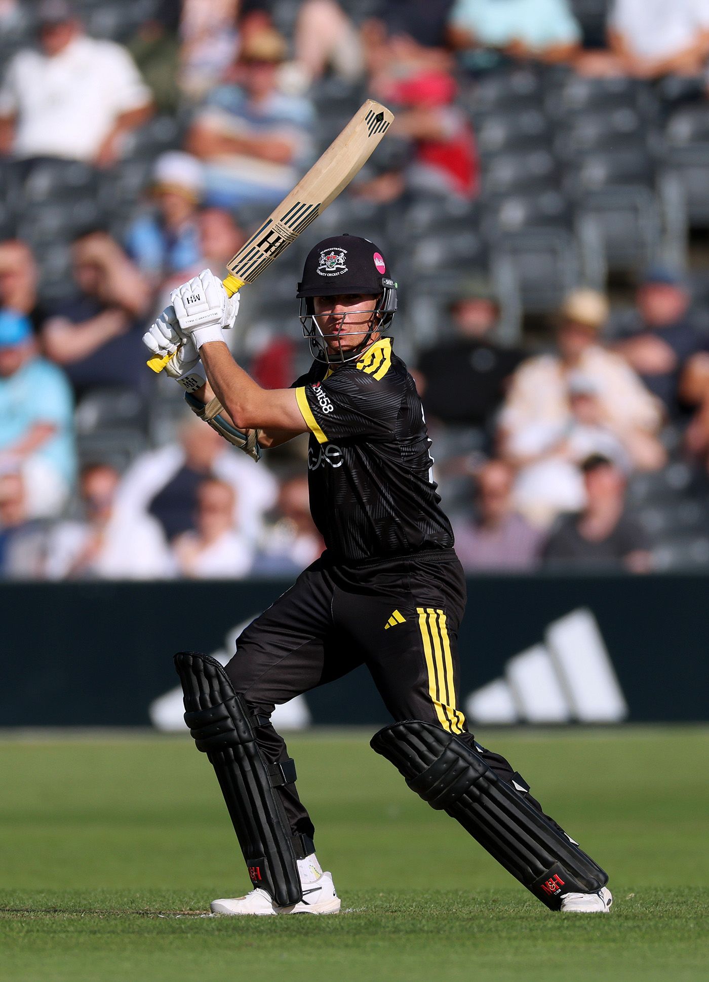 James Bracey hits out 