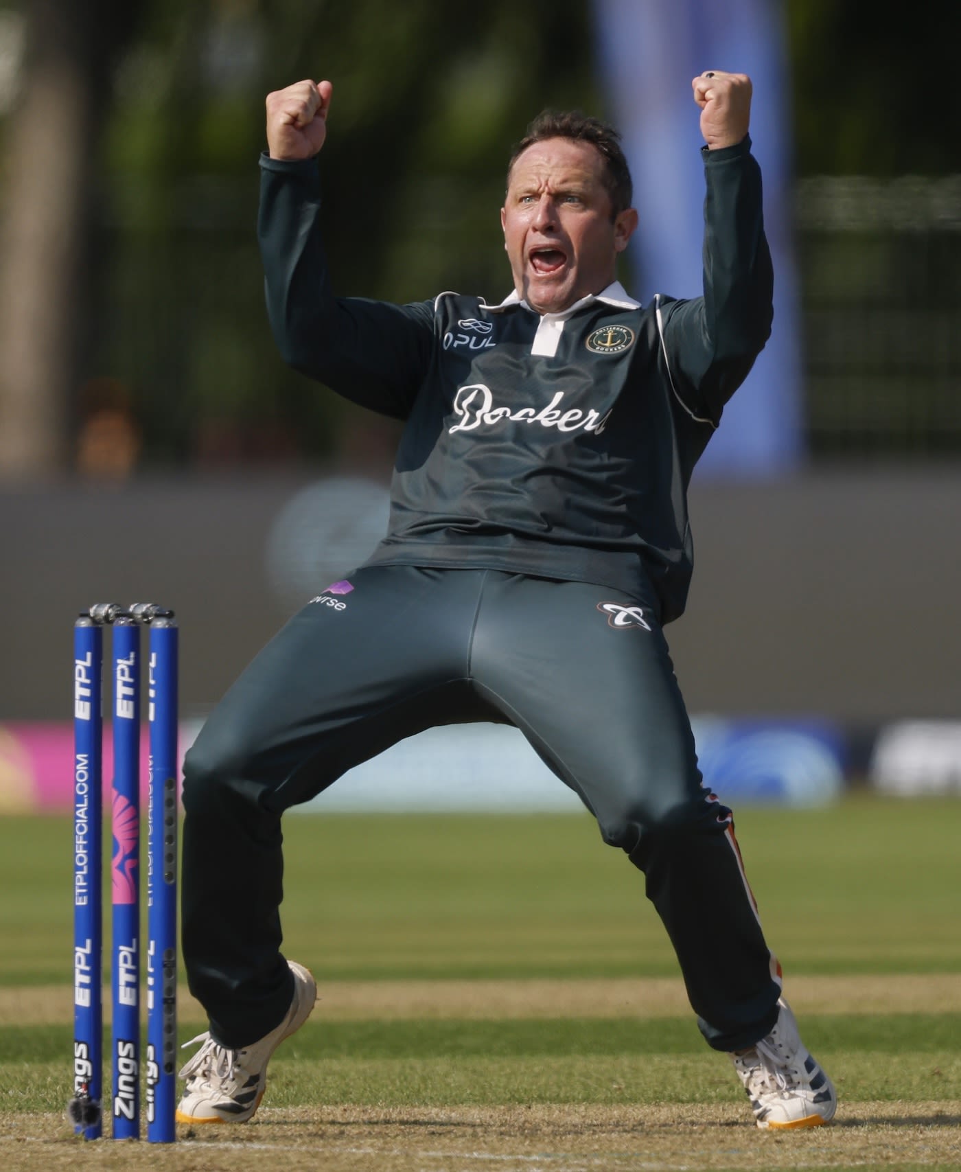 Roelof van der Merwe celebrates the wicket of Tim David
