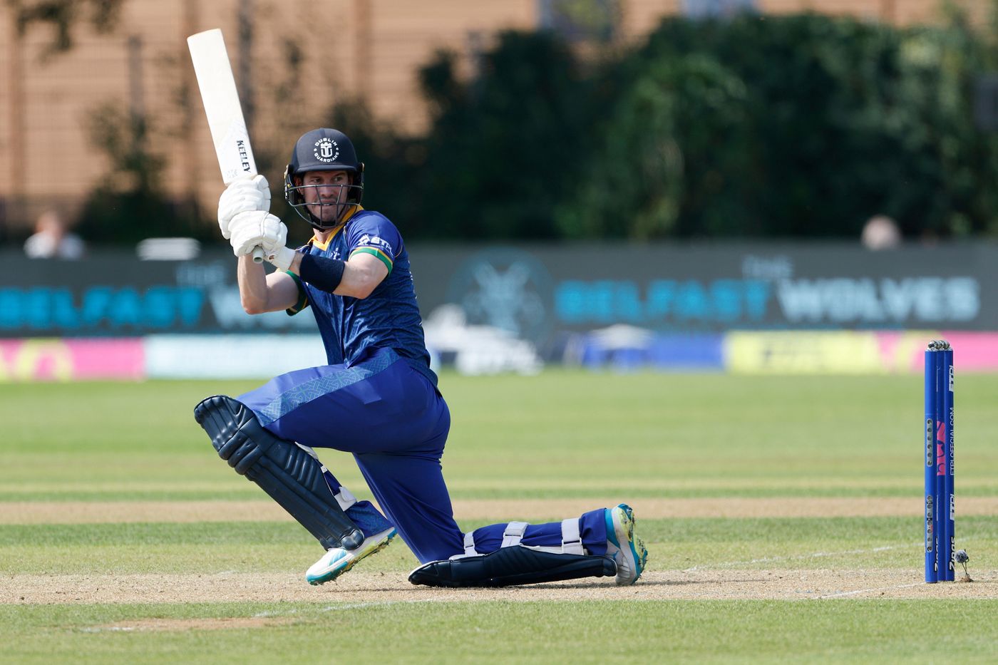George Dockrell made a fighting 35 in the chase