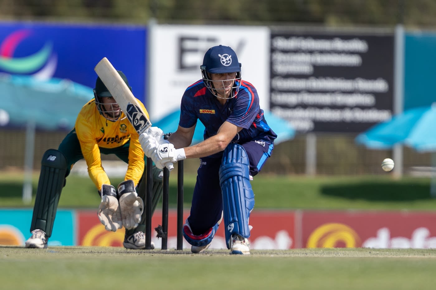 Louren Steenkamp contributed 41 in the 84-run opening stand