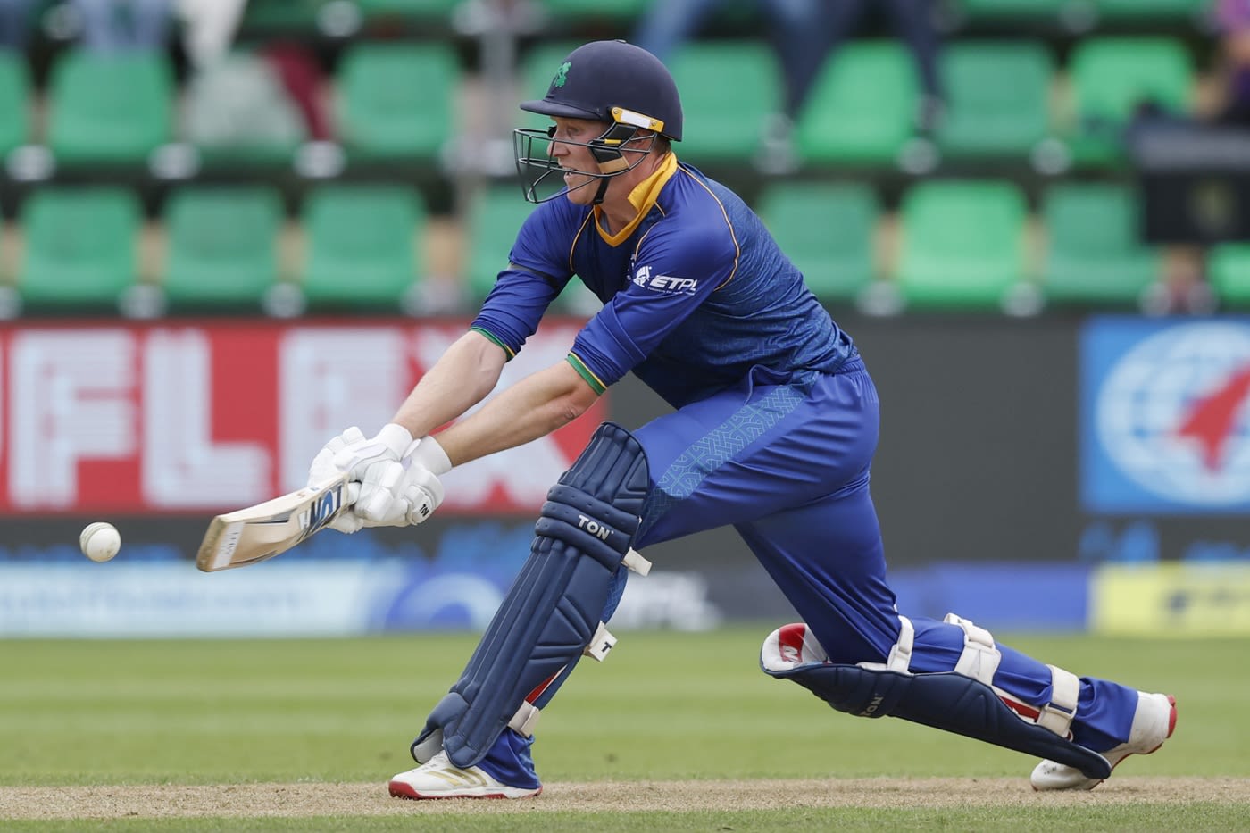Harry Tector hit a half-century