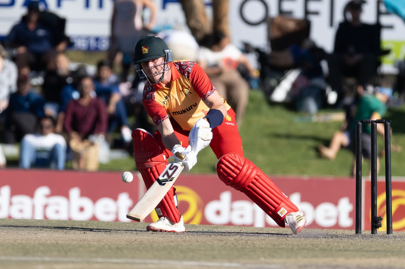 Brad Evans hit his maiden T20I fifty