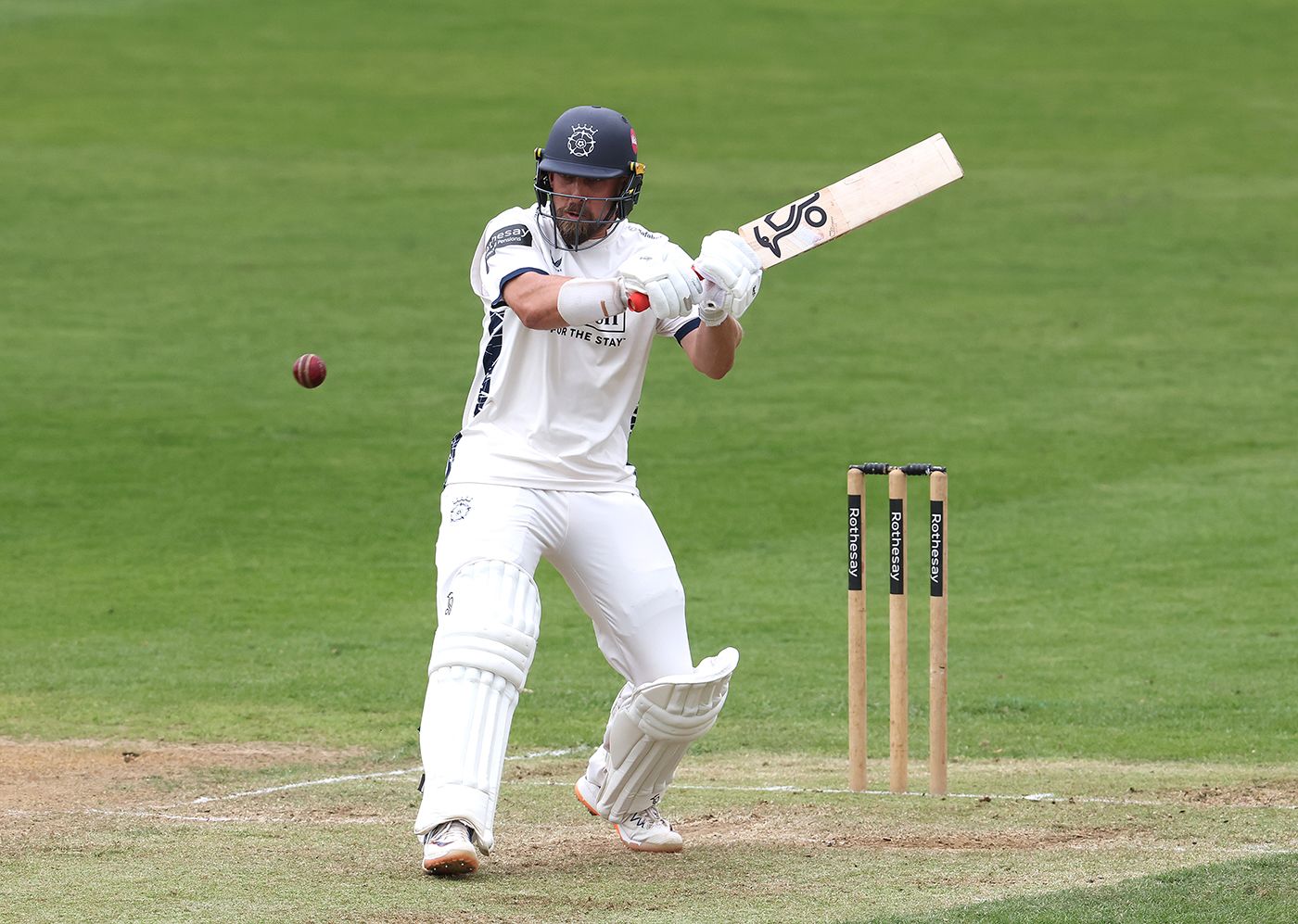 Jake Lehmann dug in to notch another fifty