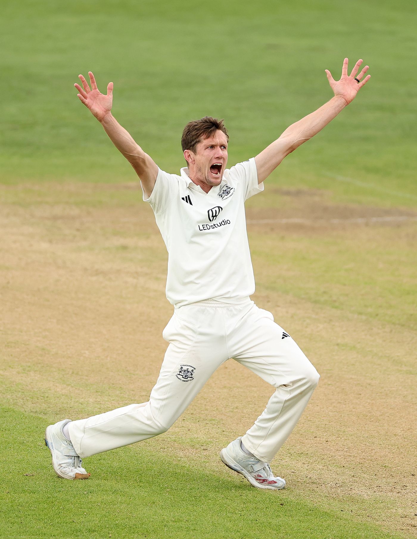 Will Williams appeals for an lbw decision