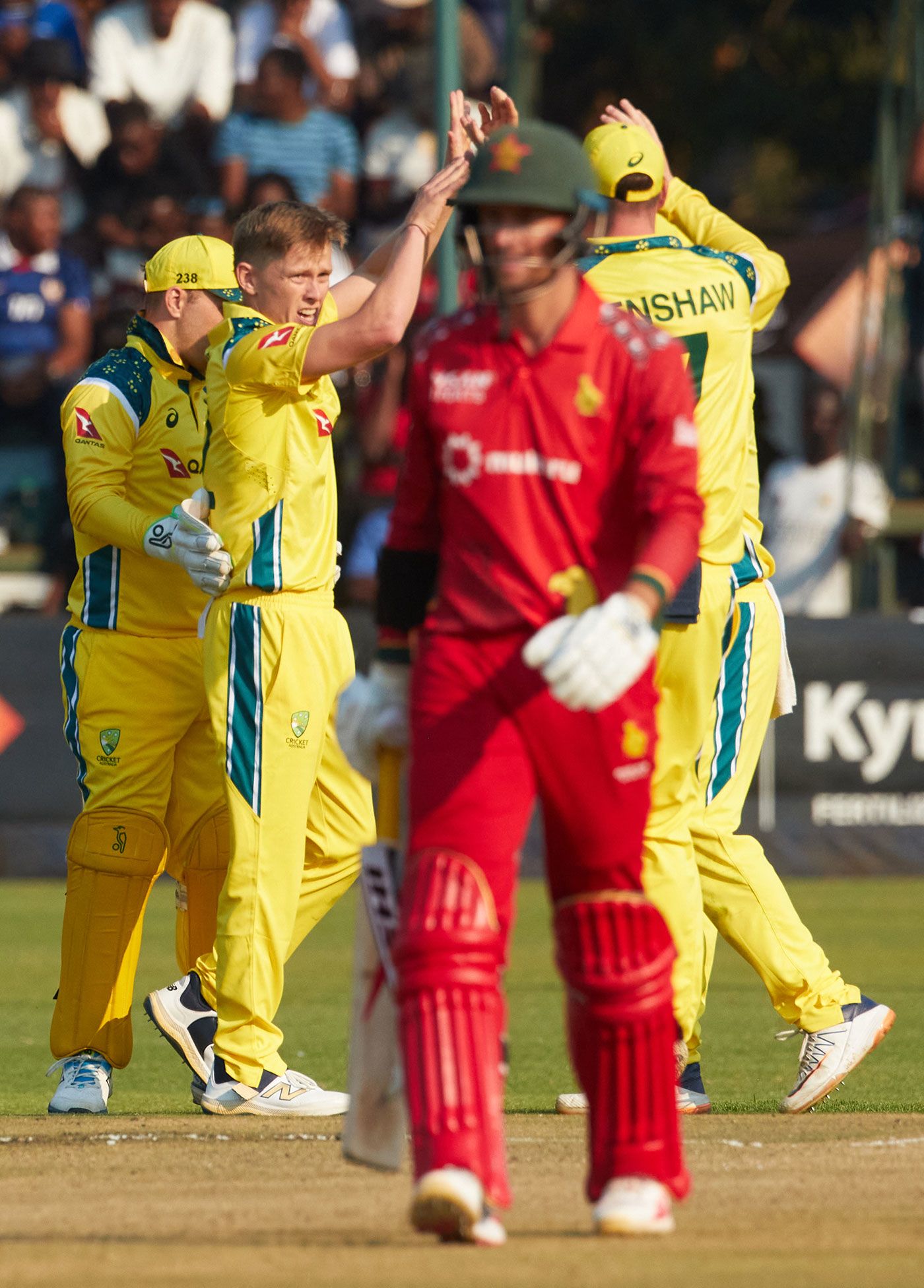 Nathan Ellis claimed the vital wicket of Craig Ervine