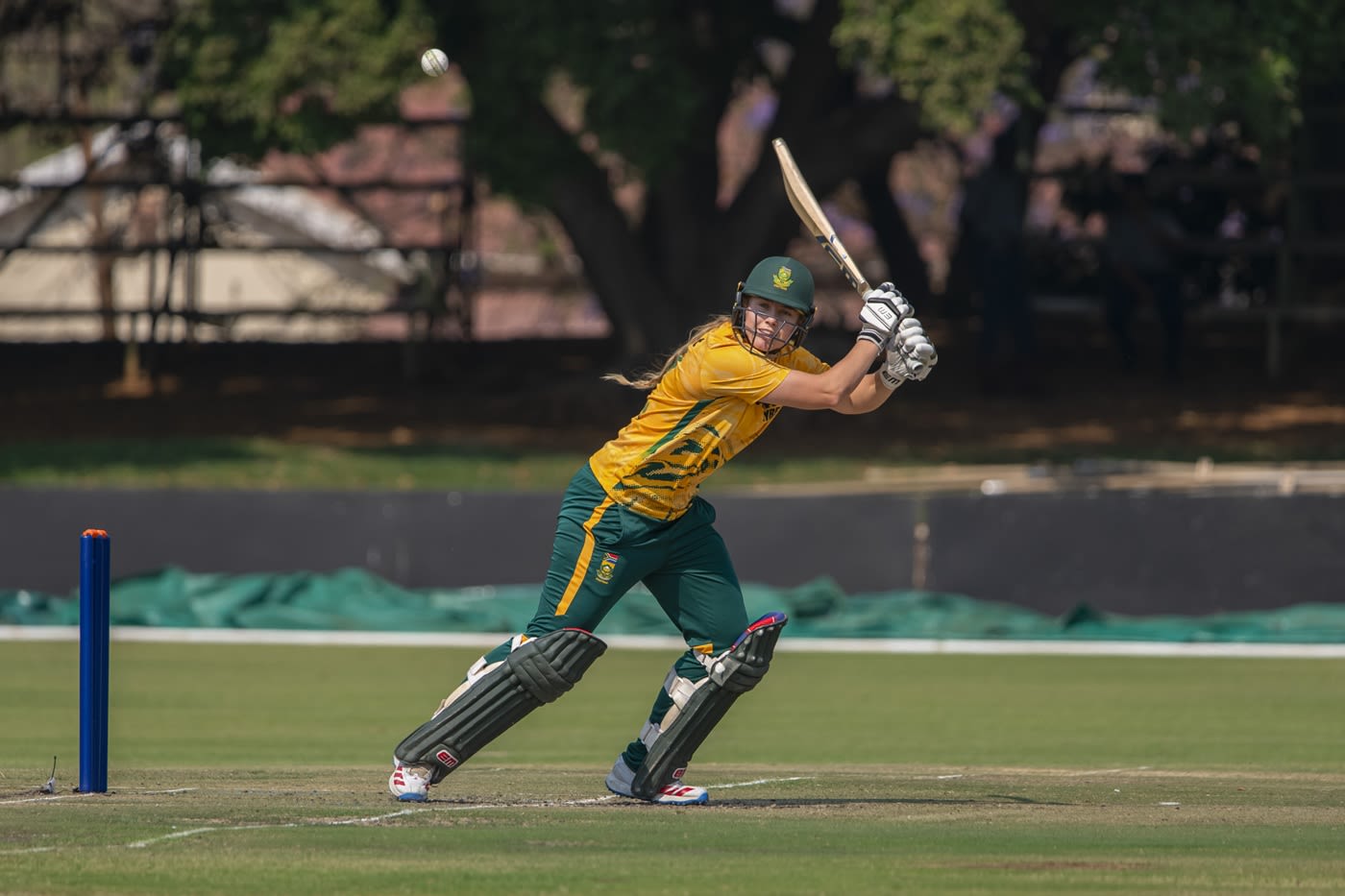 Annerie Dercksen injected momentum with her cameo