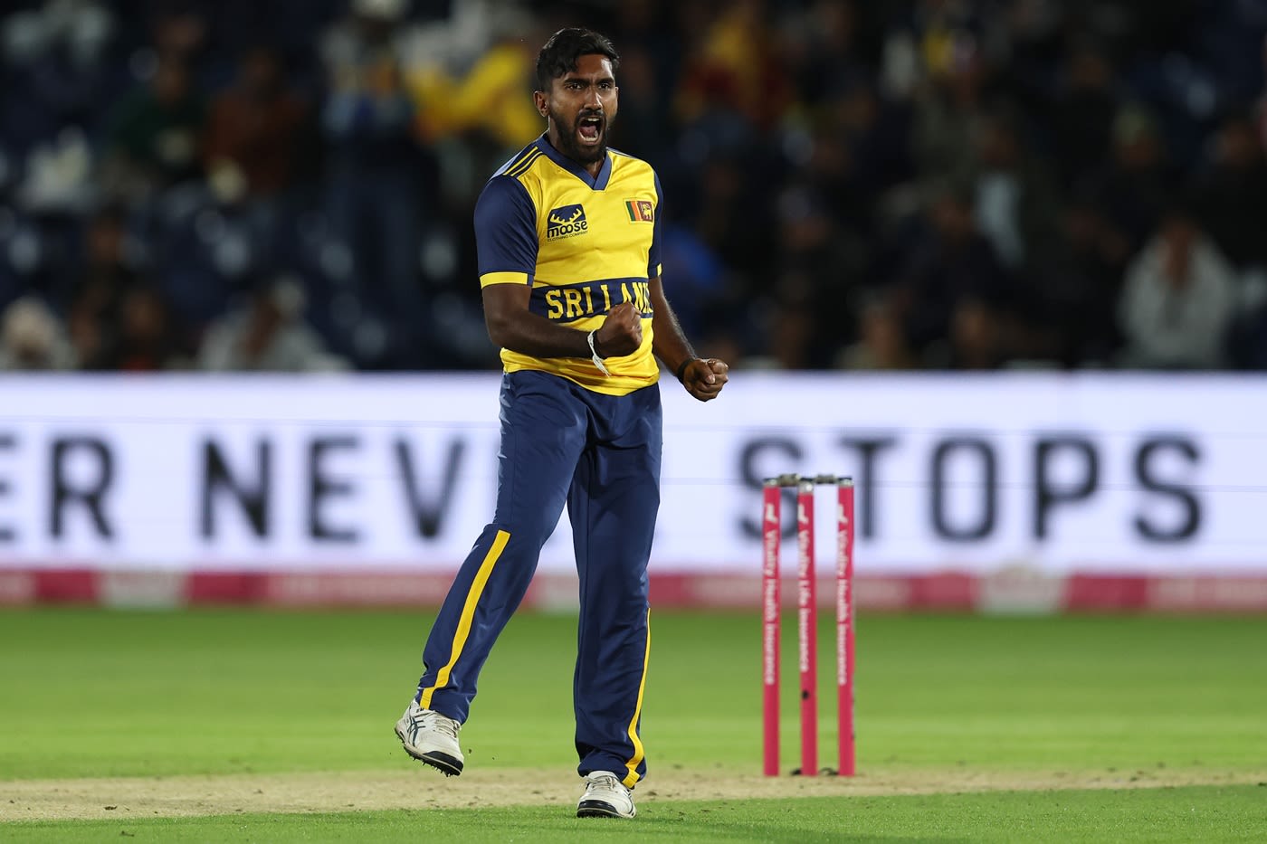 Eshan Malinga celebrates a wicket