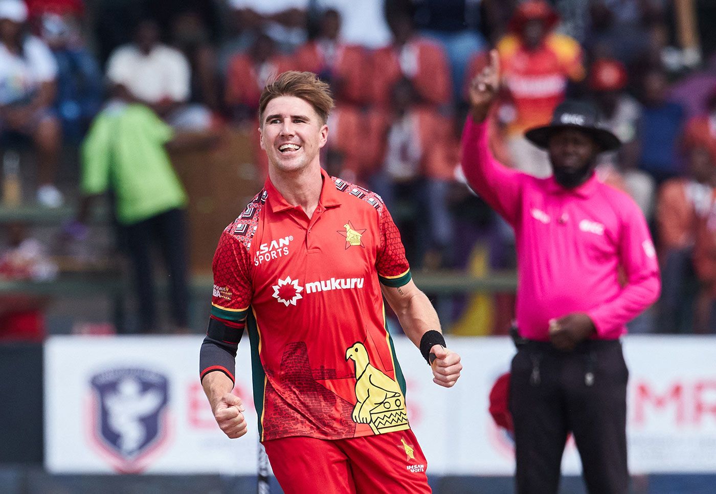 Brad Evans celebrates removing Mitchell Marsh