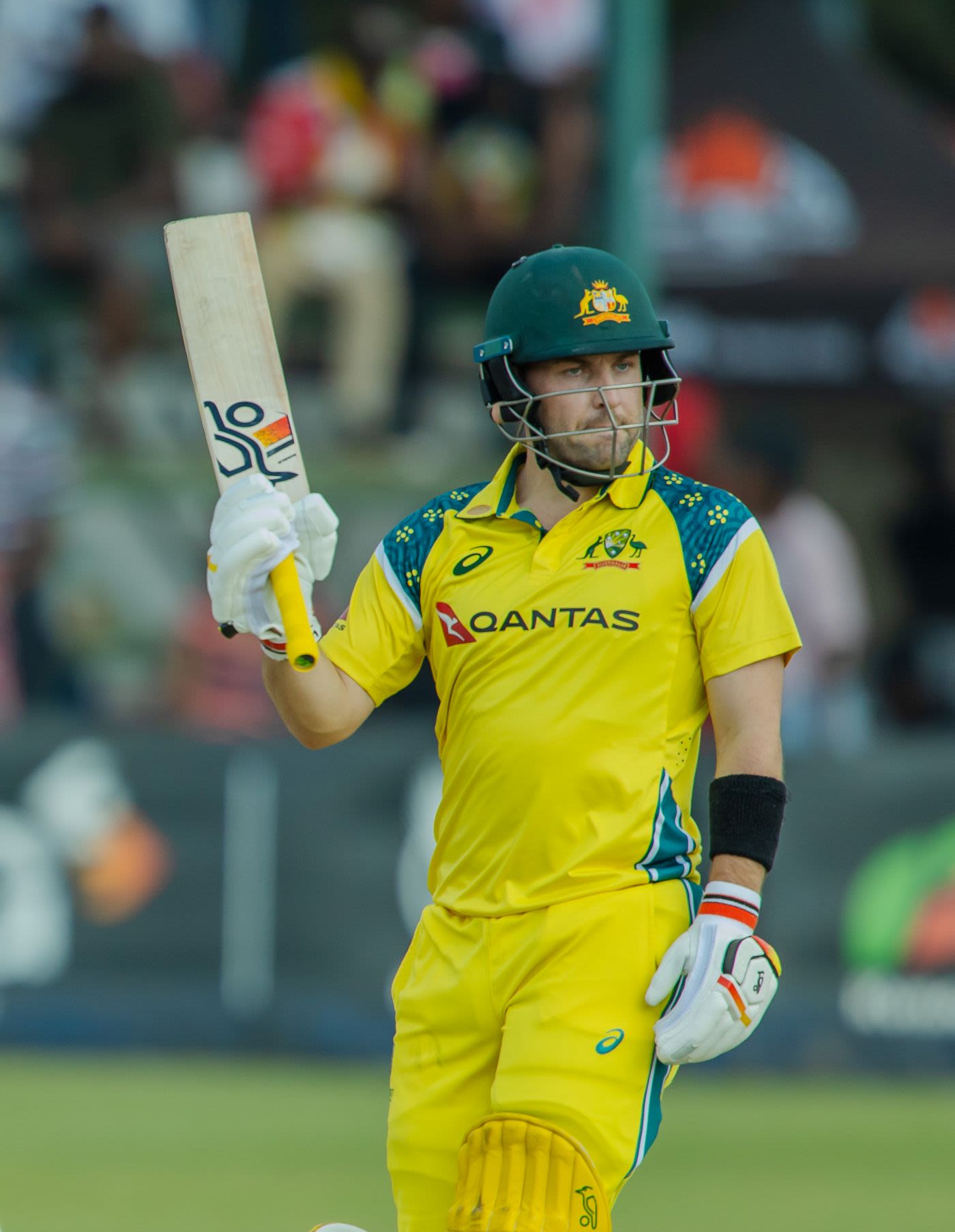 Josh Inglis acknowledges his fifty