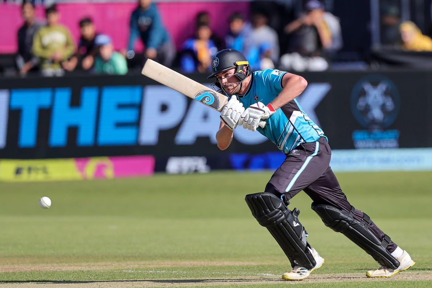 Tim Tector's fifty kept his side going