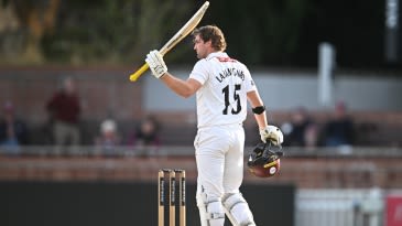 Tom Lammonby hundred steers Somerset response