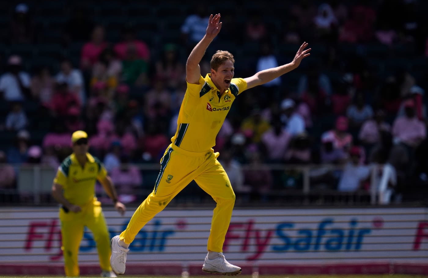 Jack Edwards celebrates his maiden international wicket