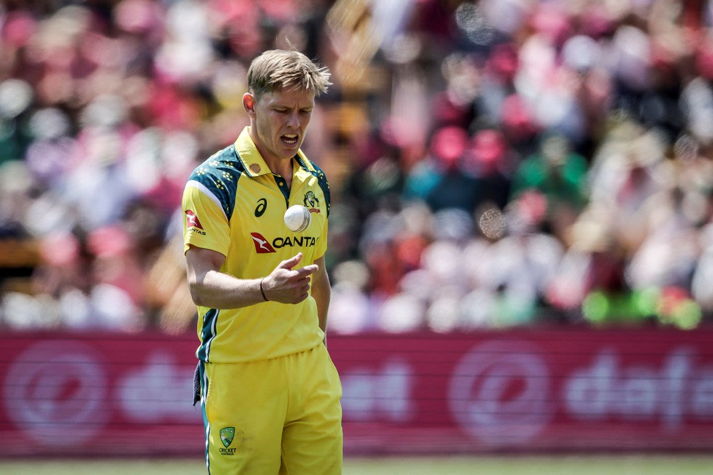 Nathan Ellis suffered a side issue